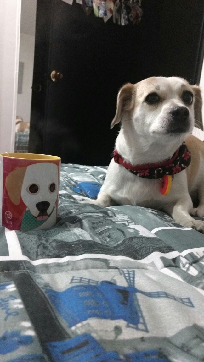 Regalos personalizados colombia