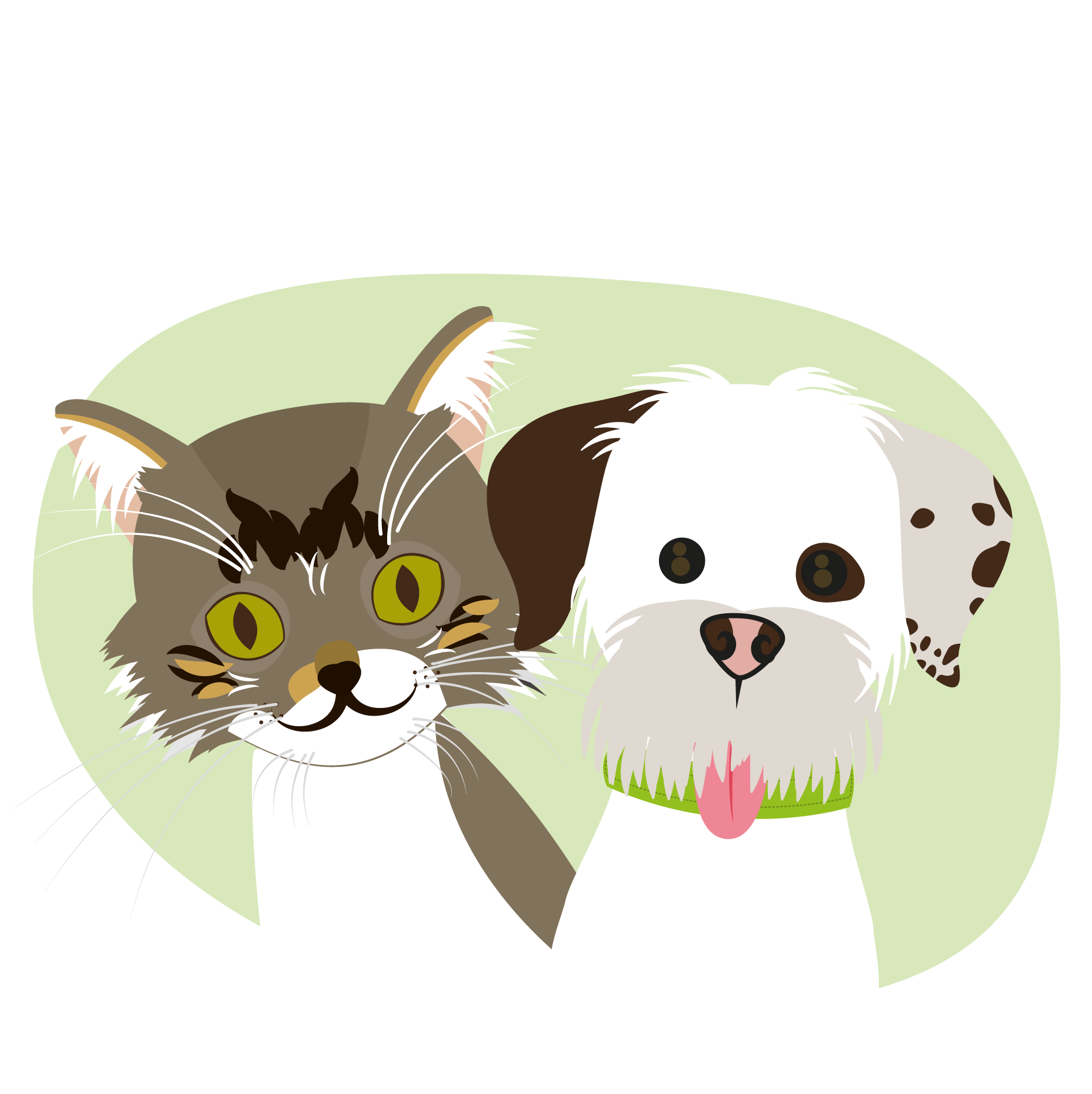 Regalos personalizados colombia